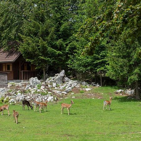 Apartma Vidmar Otlica Ajdovščina Exterior foto